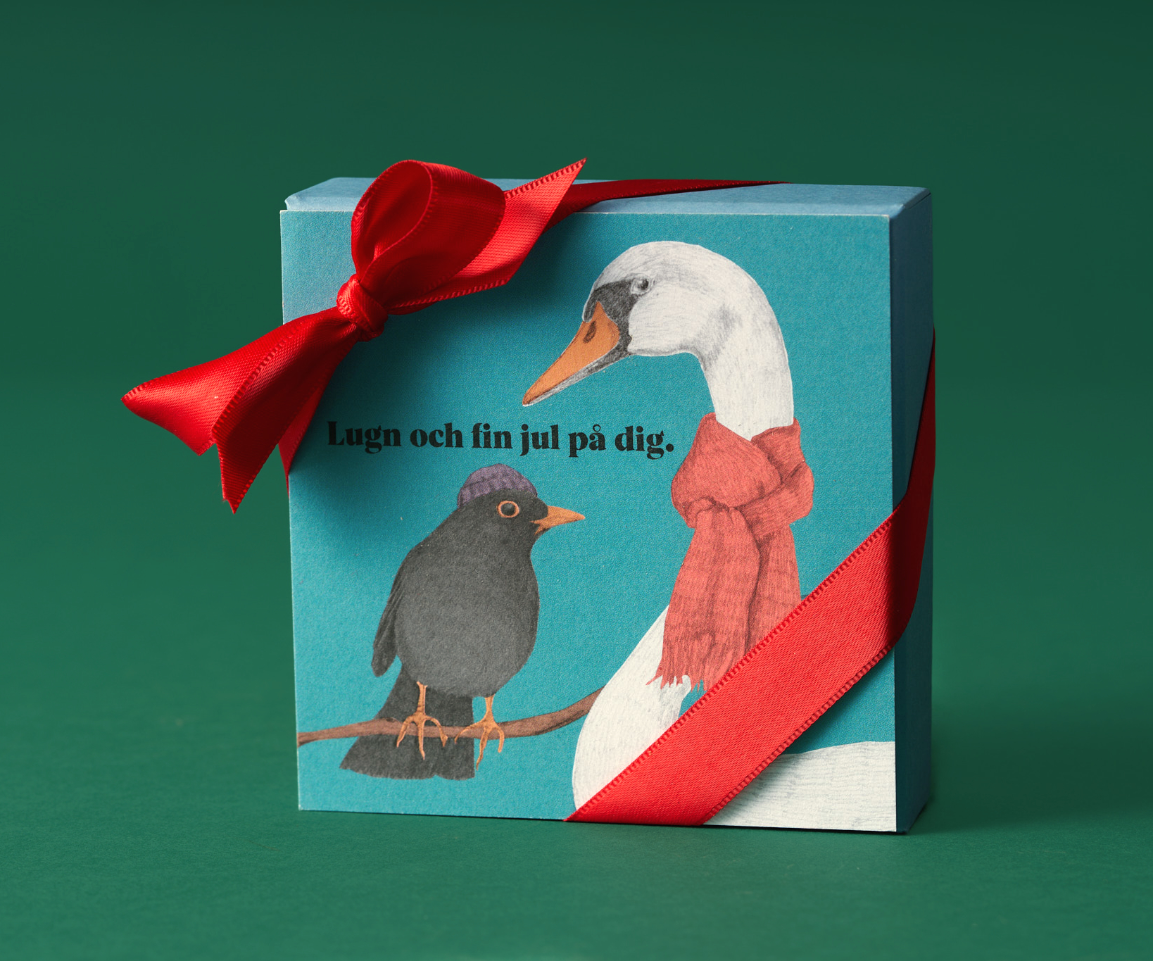 Julask 9 praliner vinterfåglar